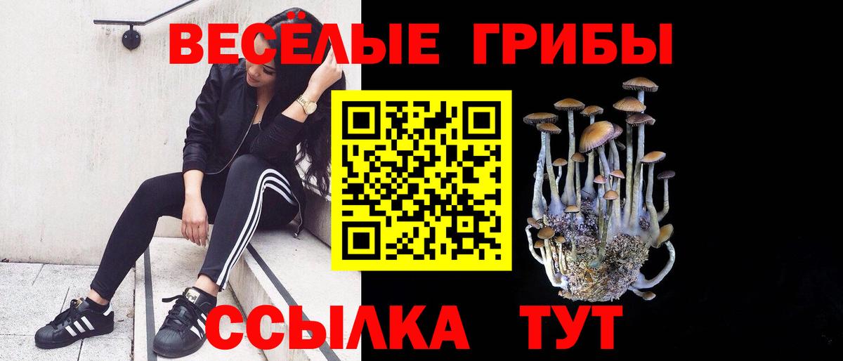Рыбинск  Псилоцибиновые грибы Cubensis  Вход с VPN 